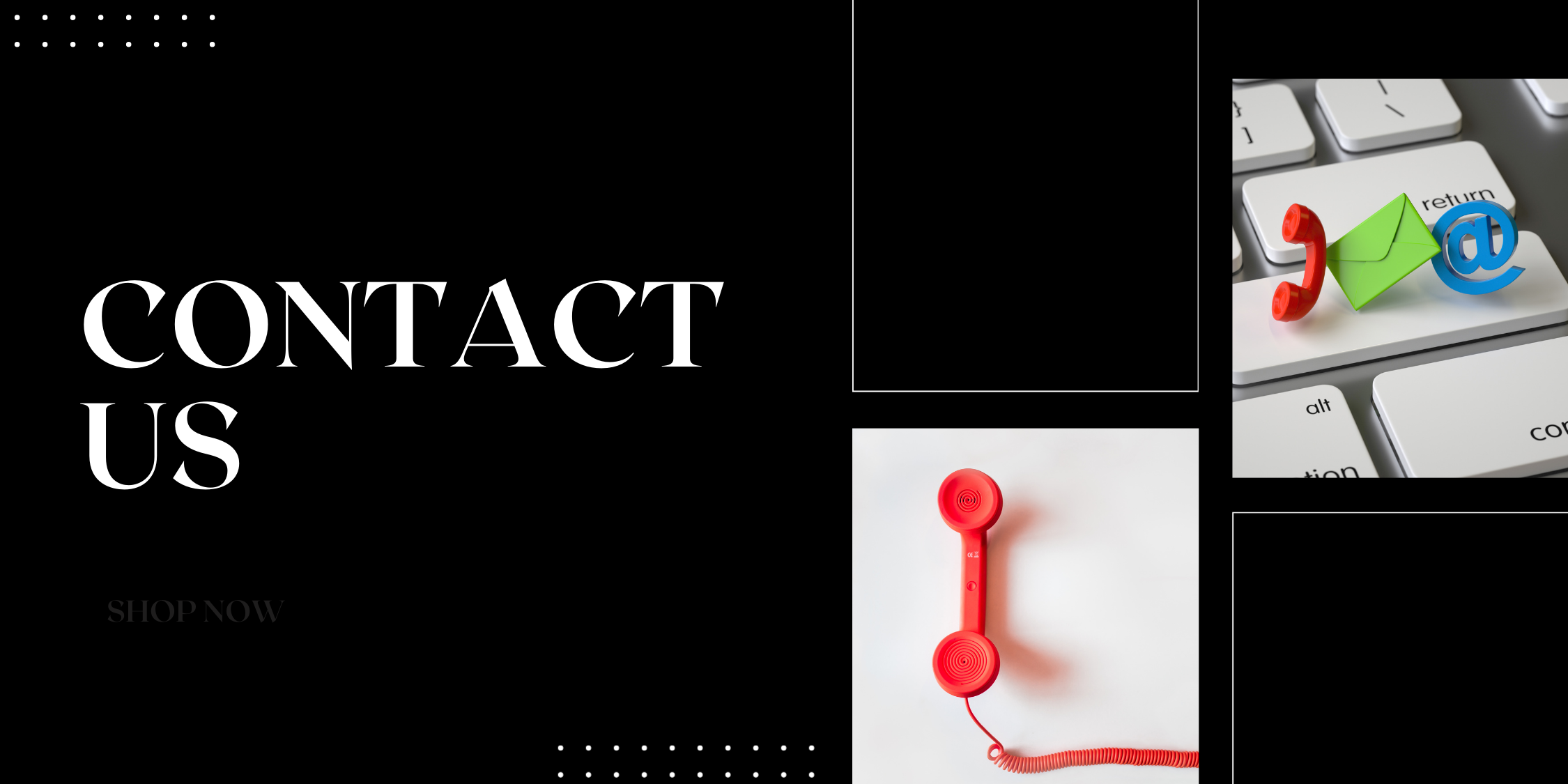 Contact Wise Path Law Academy